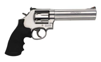 Smith & Wesson 686+ Distinguish Combat 357 Mag 6" 7rd Synthetic Grip Adjustable Sight SS Smith & Wesson - Products | Rare Breed Triggers FRT - 15