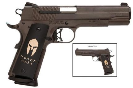 Sig 1911 45 ACP 5IN Spartan ORB SAO Siglite Spartan Grip (2) 8rd Steel MAG Sig Sauer - Products | Rare Breed Triggers FRT - 15