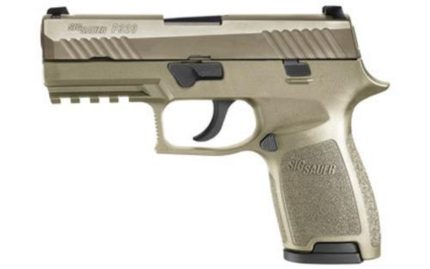 Sig P320 *D* 9mm 3.9In Flat Dark Earth Striker Siglite Modular Polymer Grip (2) 15rd Steel MAG Rail Sig Sauer - Products | Rare Breed Triggers FRT - 15
