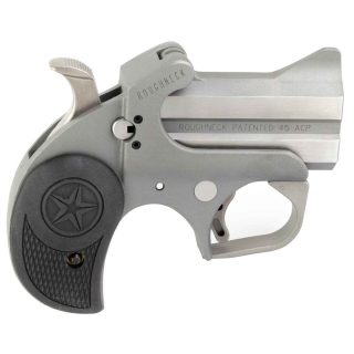 Bond Arms Barn Roughneck 45 Auto (ACP) 2.5in Stainless Pistol - 2 Rounds