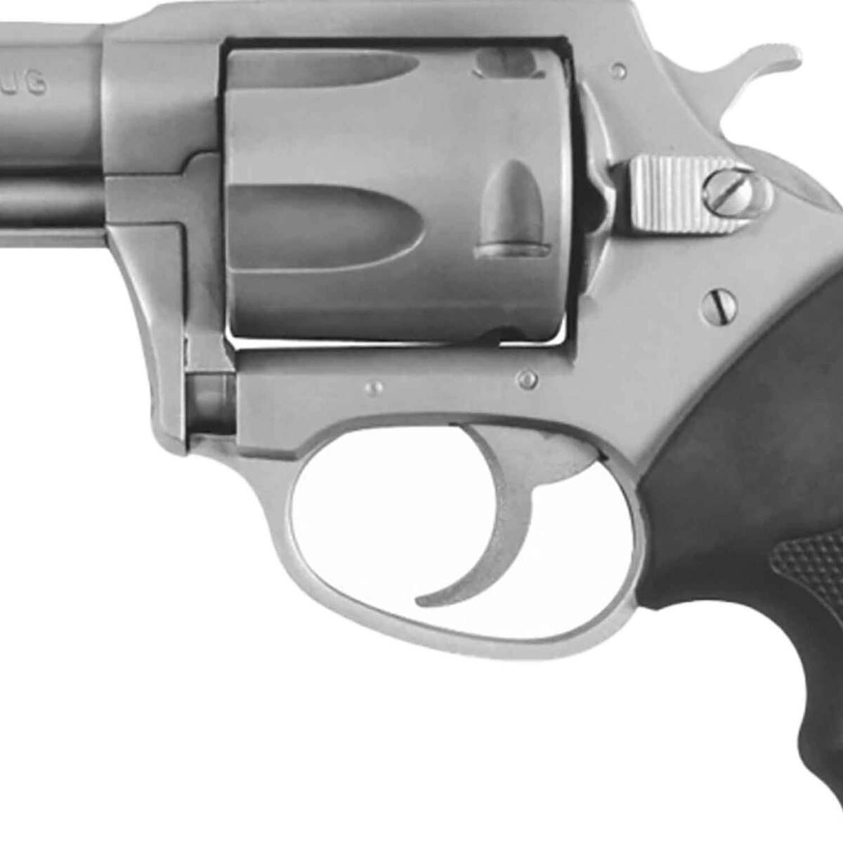 Charter Arms Bulldog 44 Special 2.5in Stainless Revolver - 5 Rounds - Image 2