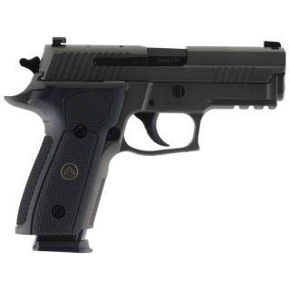 Sig Sauer P229 Legion 9mm Luger 3.9in Legion Gray Cerakote Pistol - 15+1 Rounds