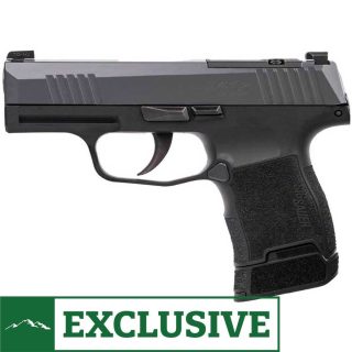 Sig Sauer P365 9mm Luger 3.1in Gray Nitron Pistol - 12+1 Rounds