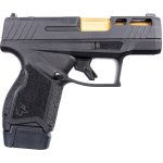 Taurus GX4™ T.O.R.O. Window Cut Slide Kit